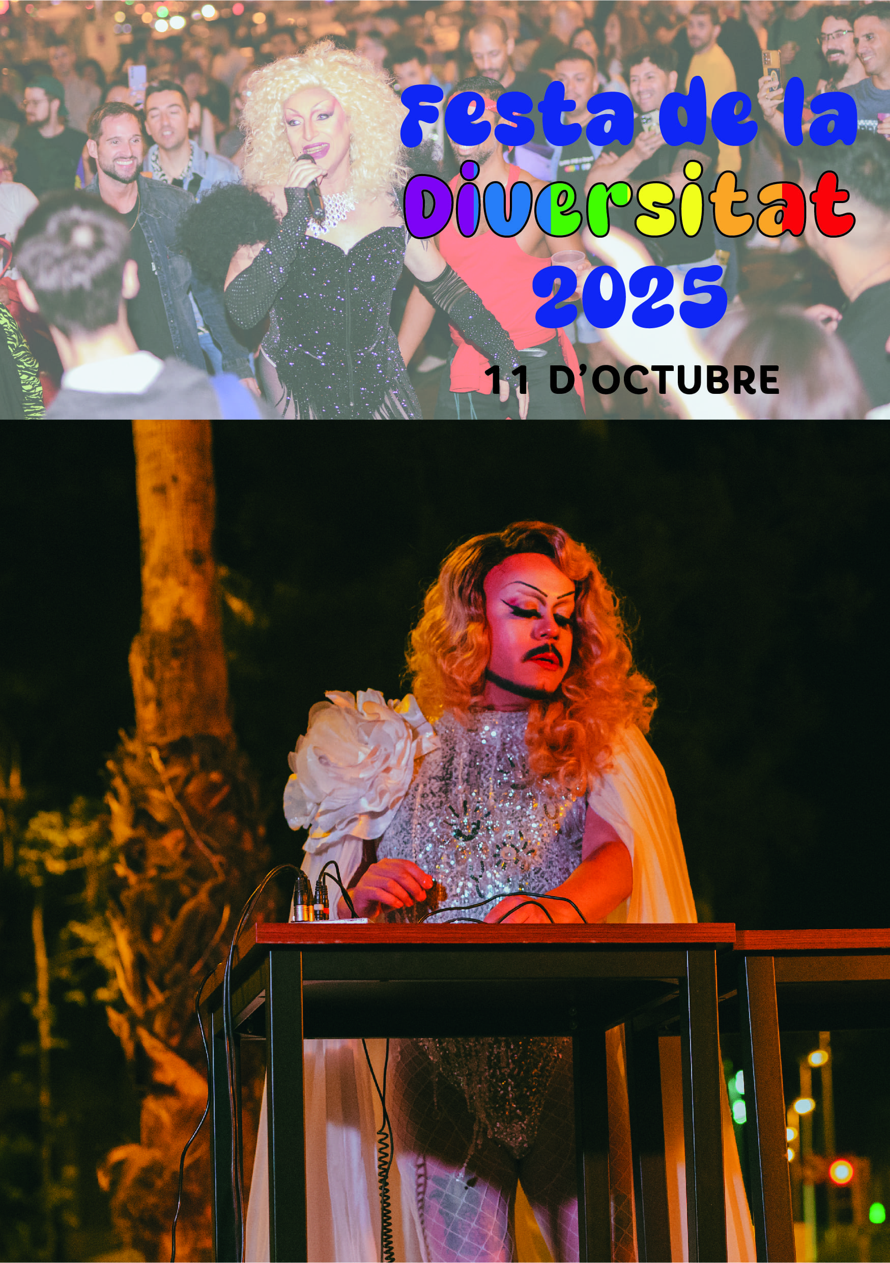 FESTA DE LA DIVERSITAT