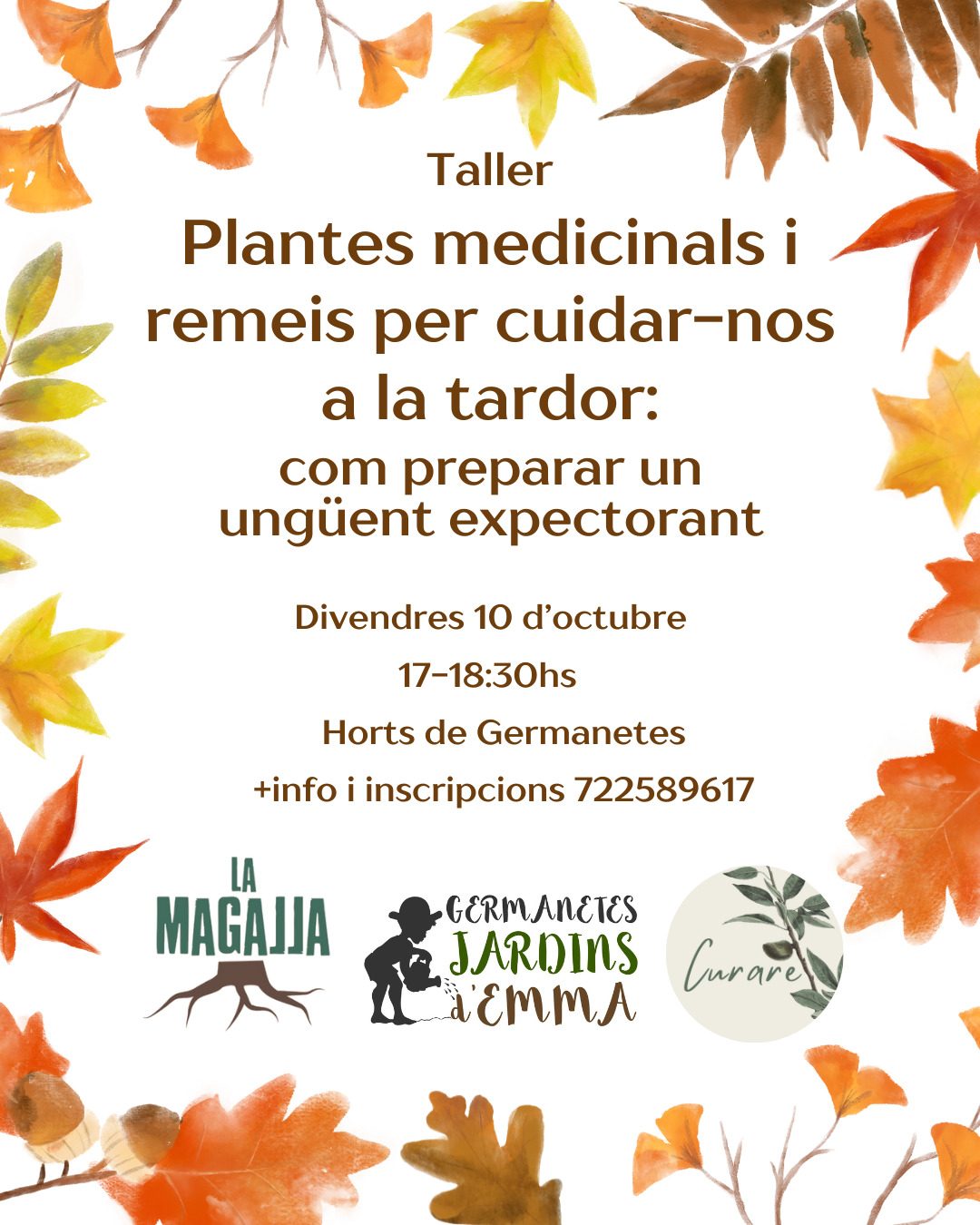 Taller Plantes medicinals i remeis per cuidar-nos a la tardoe