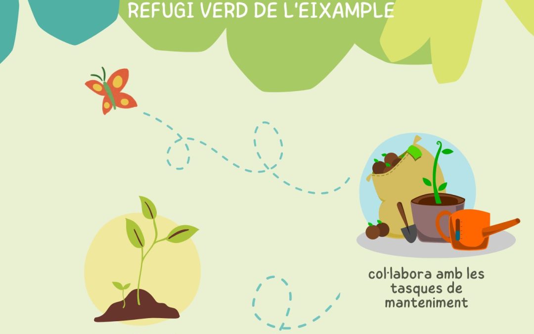 Dia del voluntariat a Nur